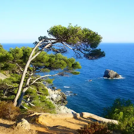 Escapade A Six-fours - Plage, Terrasse & Parking 아파트 *